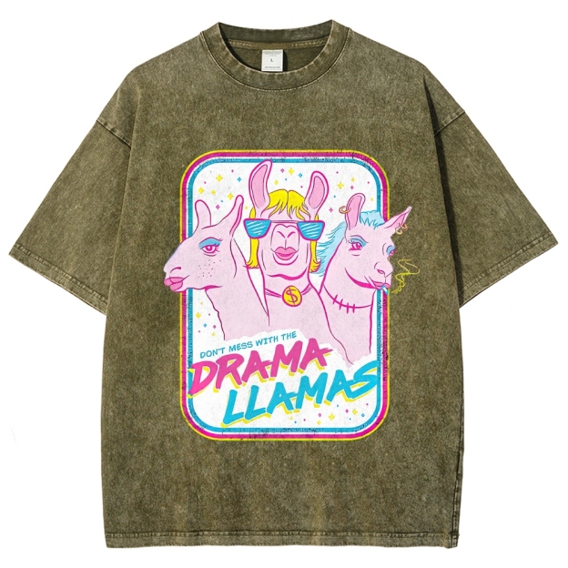 Y2K Neon Pastel Drama Llama Trio Retro Badge Washed T-shirt