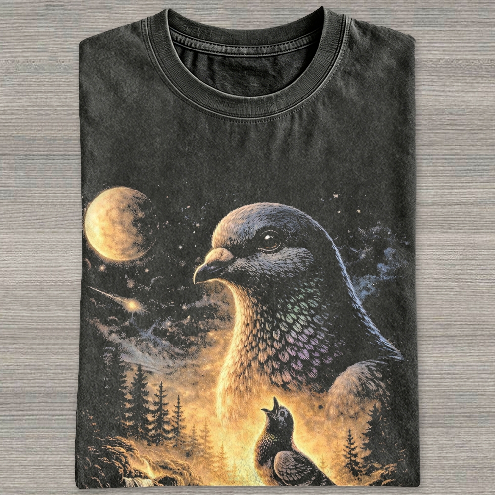 Vintage Cosmic Mountain Dove Forest Waterfall Washed T-shirt 