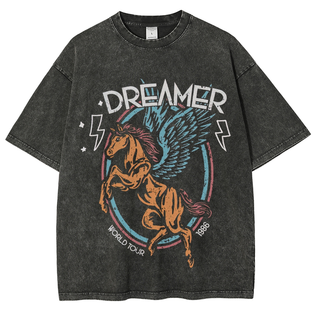 Washed T-Shirt 2607005774