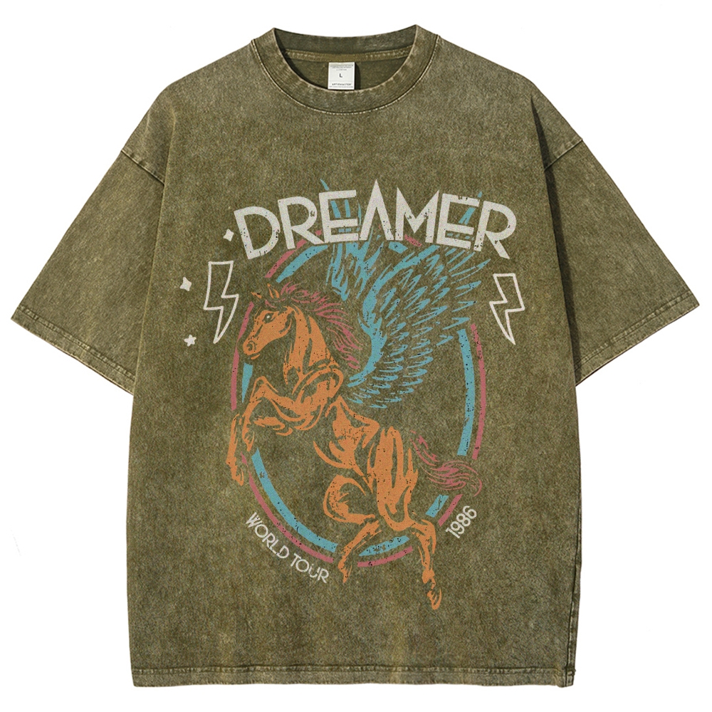 Washed T-Shirt 2607005774