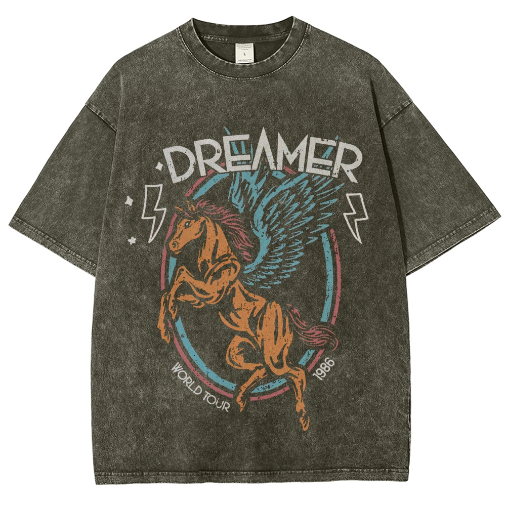 Washed T-Shirt 2607005774