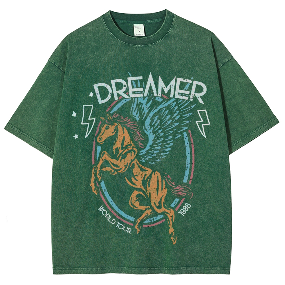 Washed T-Shirt 2607005774