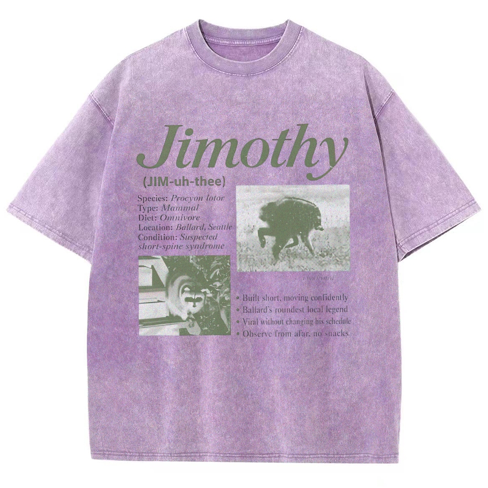 Vintage Wildlife Raccoon Washed T-shirt