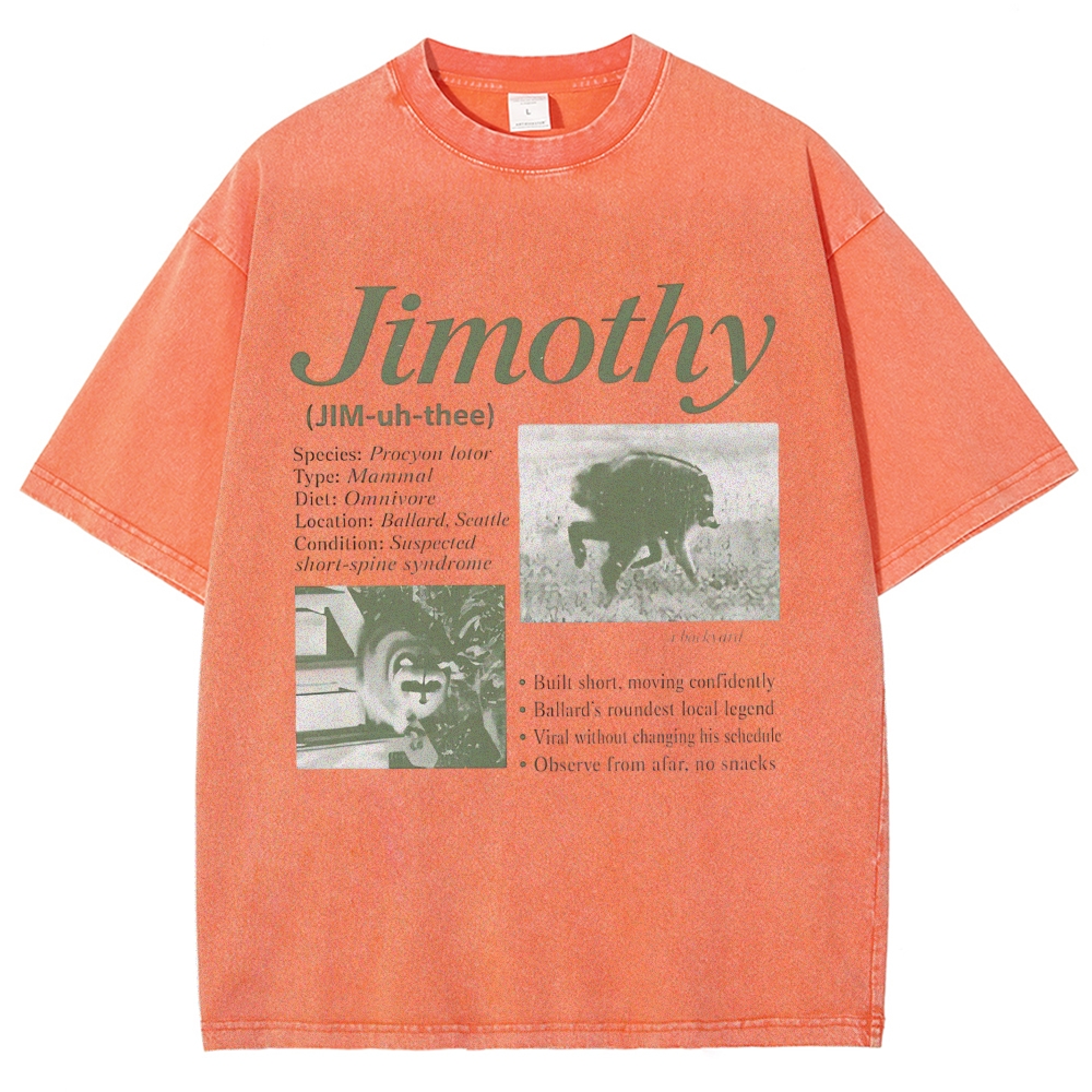 Vintage Wildlife Raccoon Washed T-shirt