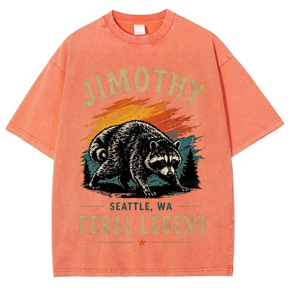 Vintage Jimothy Raccoon Mountain Wilderness Washed T-Shirt