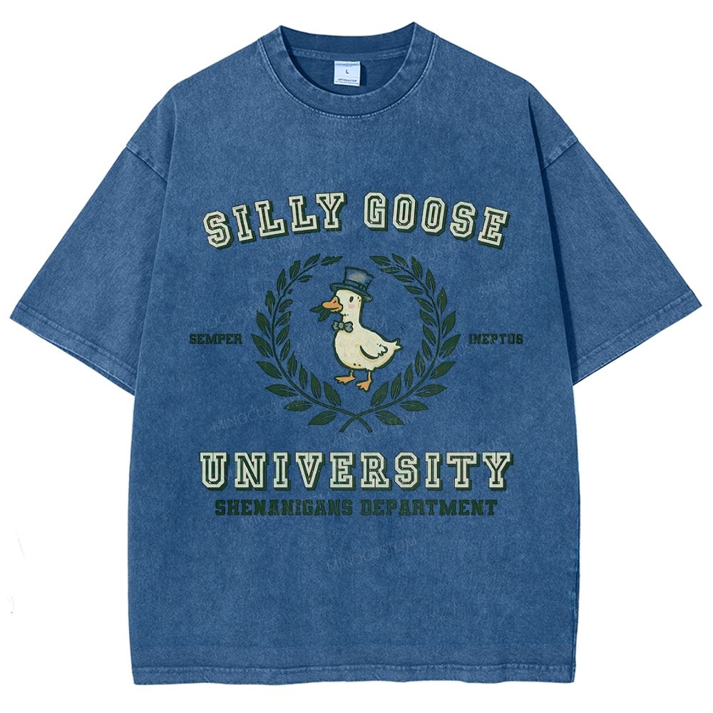 Silly Goose University Washed T-Shirt