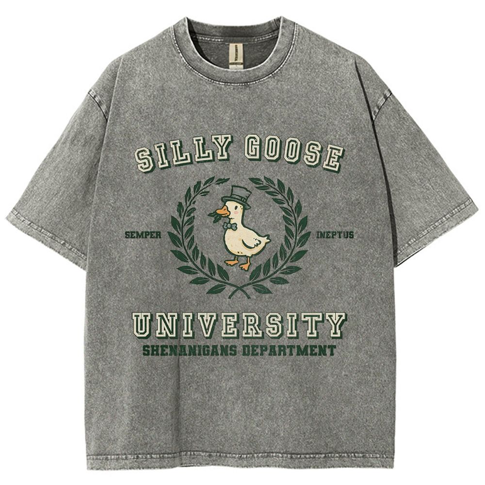 Silly Goose University Washed T-Shirt