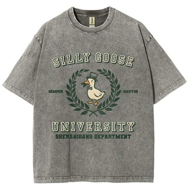 Silly Goose University Washed T-Shirt