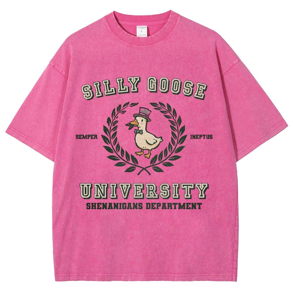 Silly Goose University Washed T-Shirt