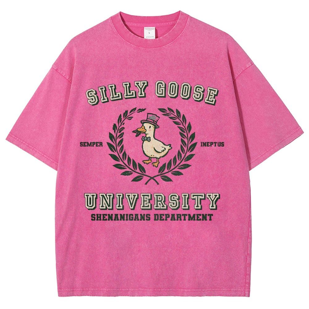 Silly Goose University Washed T-Shirt