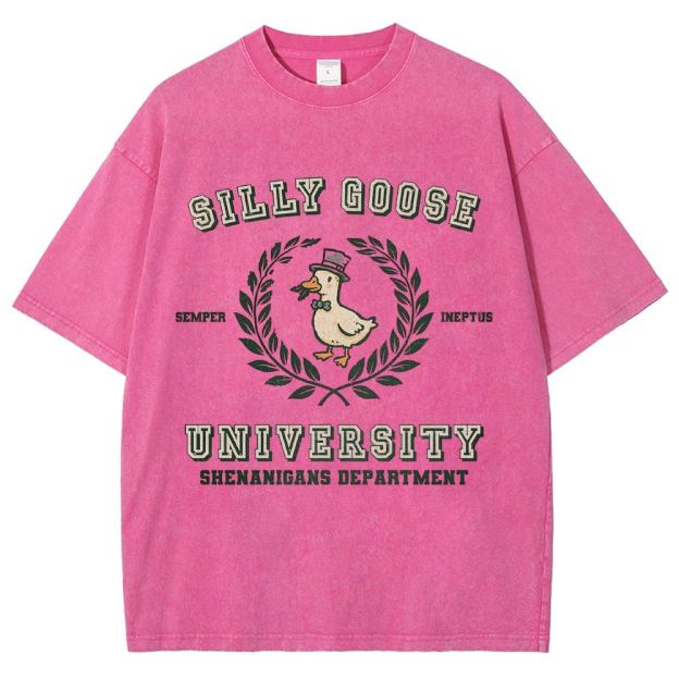 Silly Goose University Washed T-Shirt