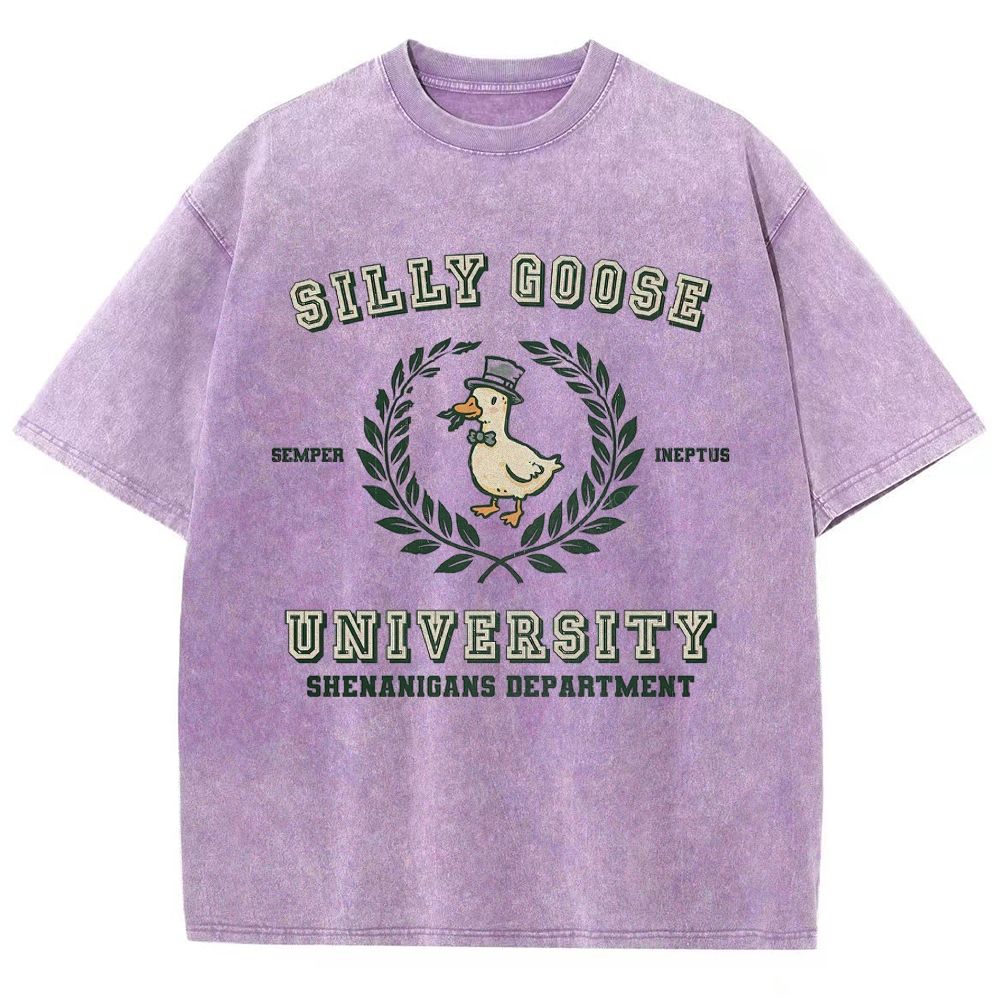 Silly Goose University Washed T-Shirt