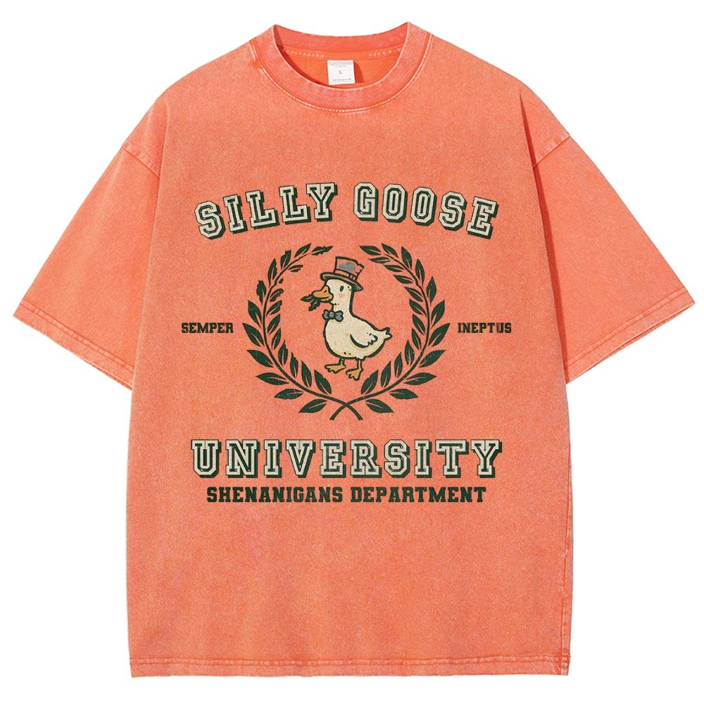 Silly Goose University Washed T-Shirt