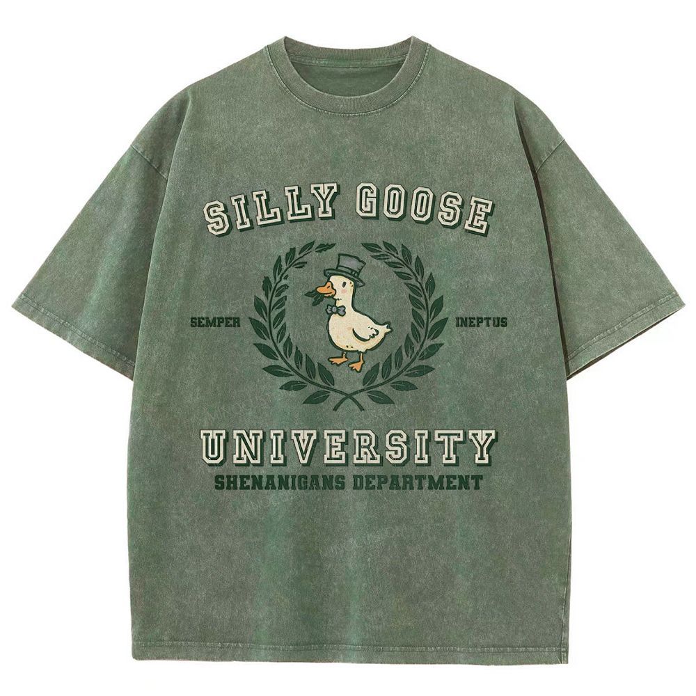 Silly Goose University Washed T-Shirt