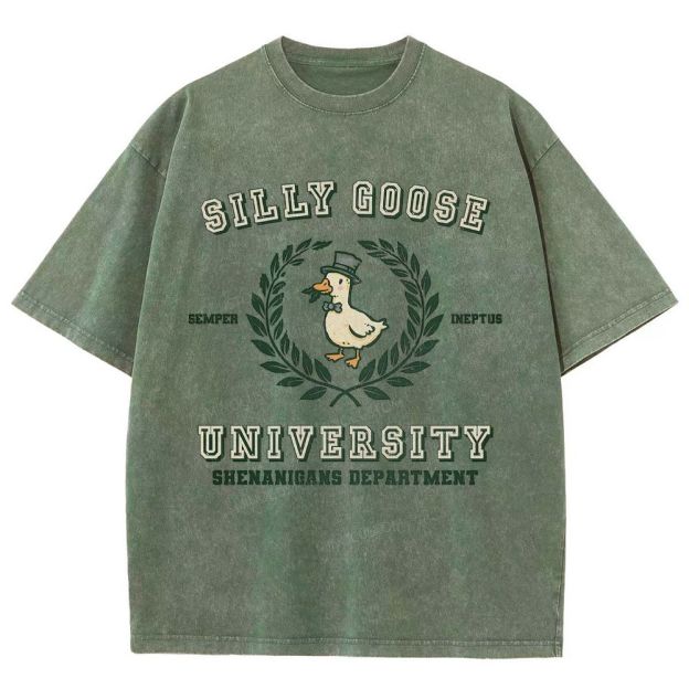 Silly Goose University Washed T-Shirt