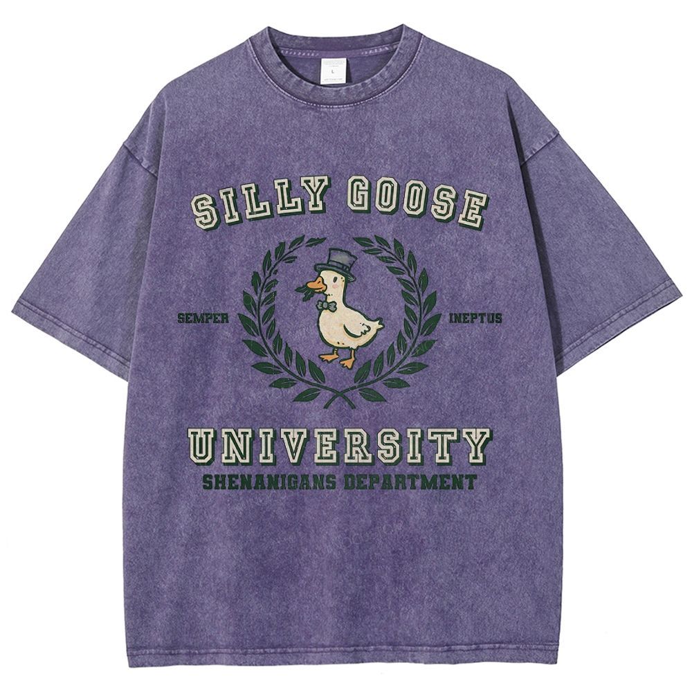 Silly Goose University Washed T-Shirt
