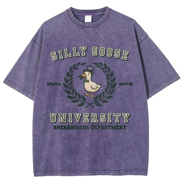 Silly Goose University Washed T-Shirt