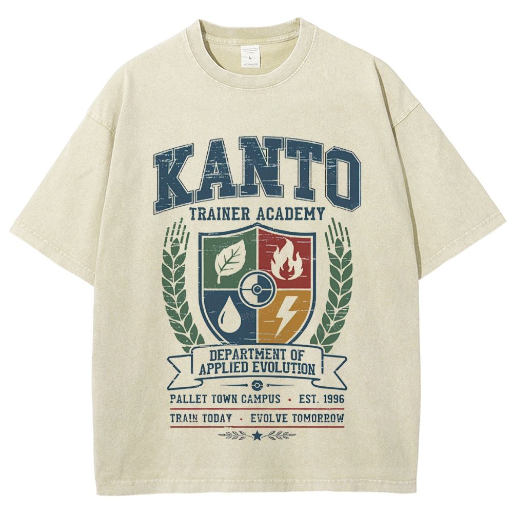Kanto Trainer Academy Vintage Gaming Washed T-Shirt