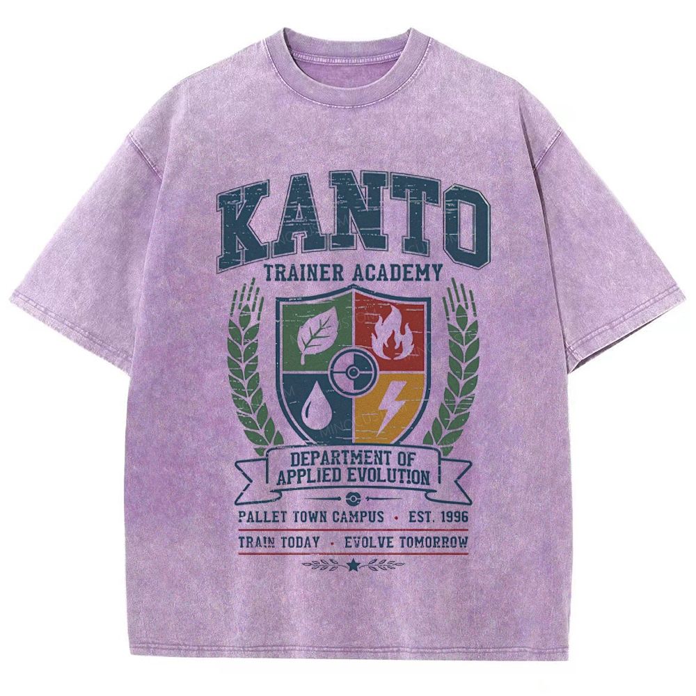 Kanto Trainer Academy Vintage Gaming Washed T-Shirt