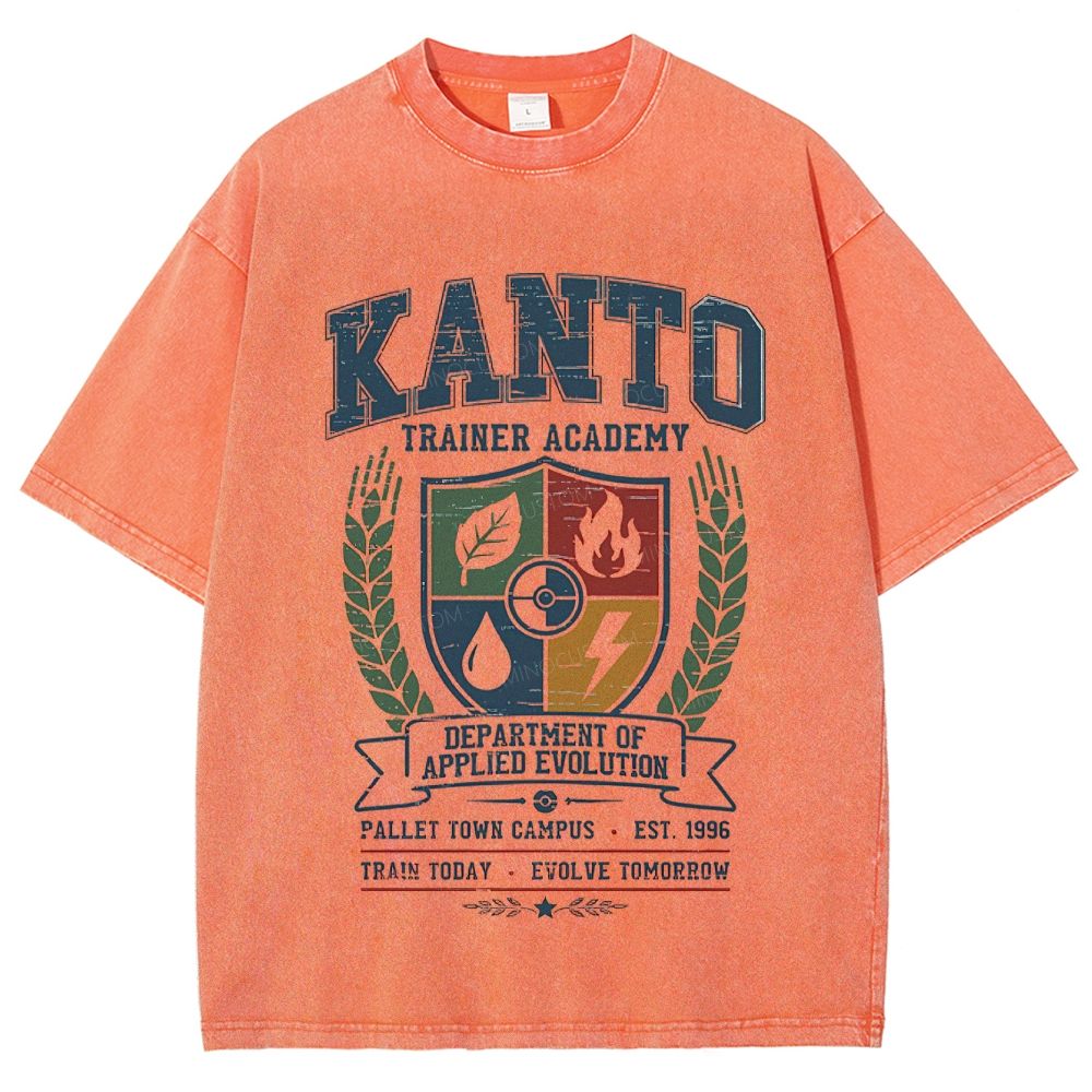 Kanto Trainer Academy Vintage Gaming Washed T-Shirt