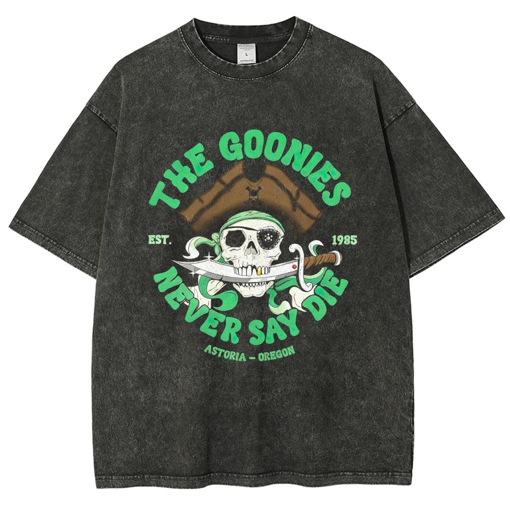 Vintage Adventure Pirate Skull Saber Badge Washed T-Shirt