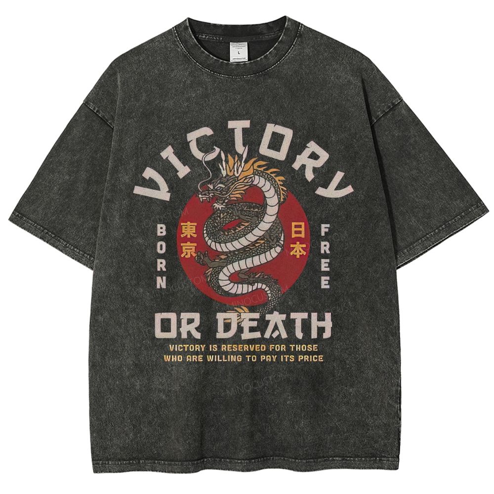 Vintage Oriental Dragon Victory Theme Washed T-Shirt