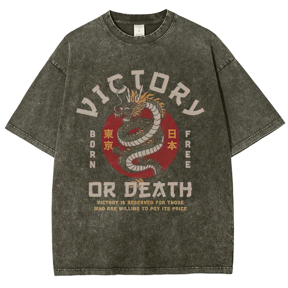 Vintage Oriental Dragon Victory Theme Washed T-Shirt