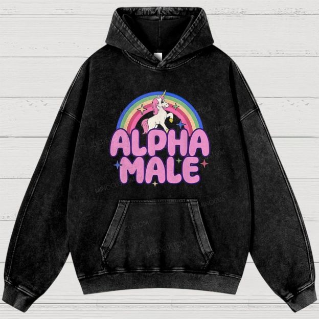 Rainbow Unicorn Alpha Male Y2K Washed Hoodies