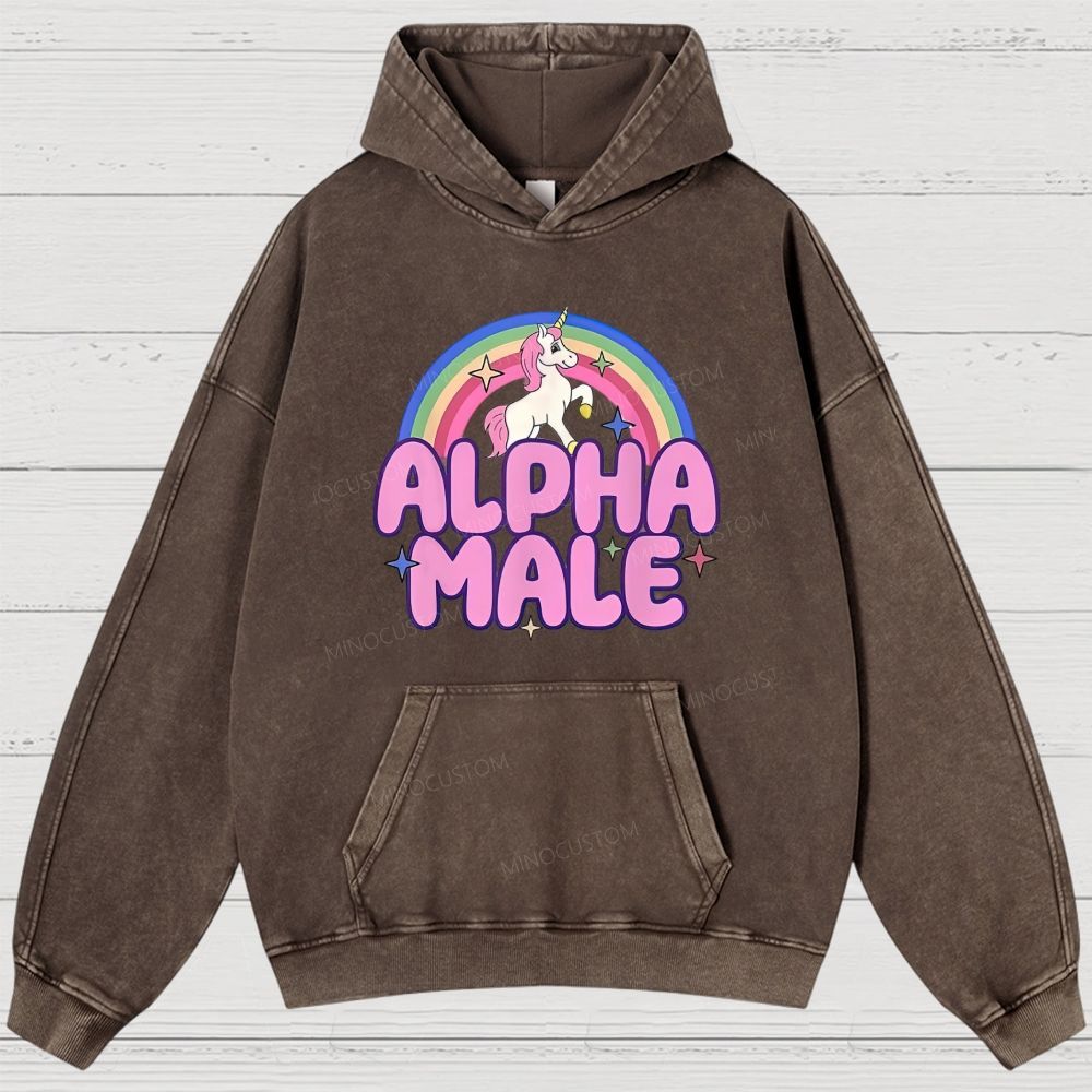 Rainbow Unicorn Alpha Male Y2K Washed Hoodies