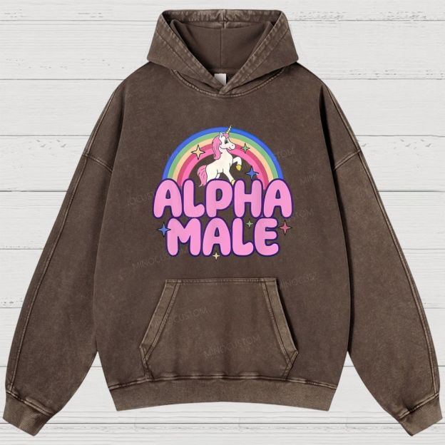 Rainbow Unicorn Alpha Male Y2K Washed Hoodies