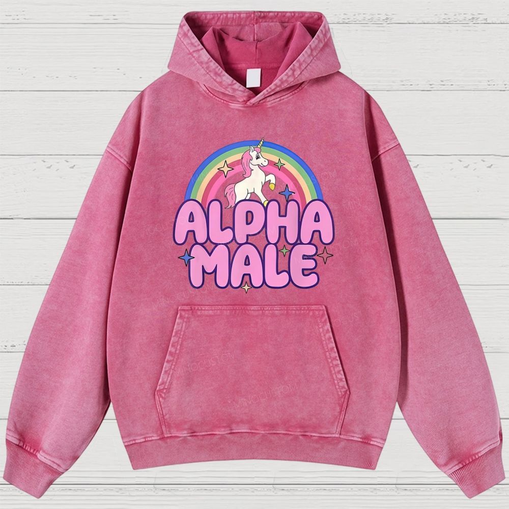 Rainbow Unicorn Alpha Male Y2K Washed Hoodies