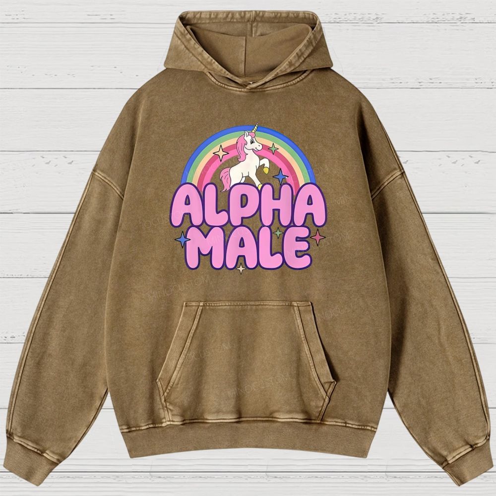 Rainbow Unicorn Alpha Male Y2K Washed Hoodies