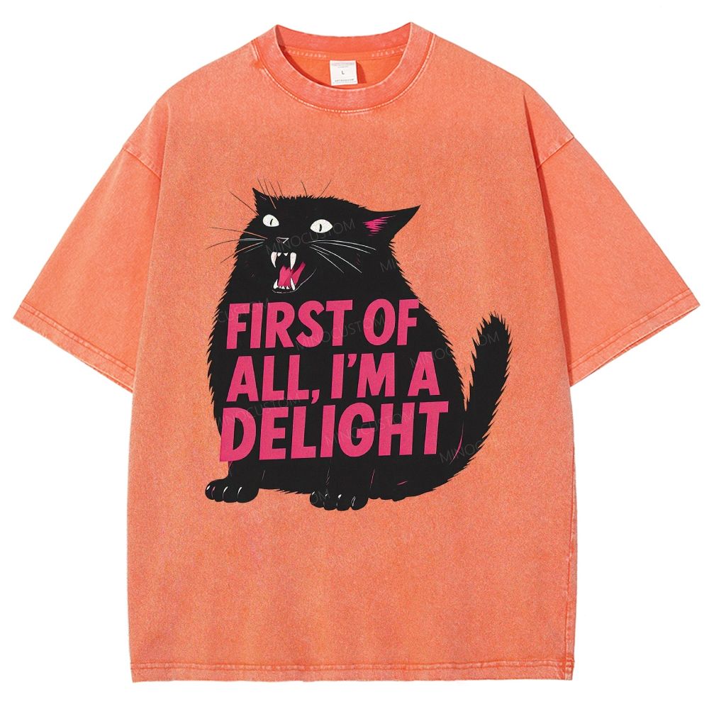 Washed T-Shirt 2608004690