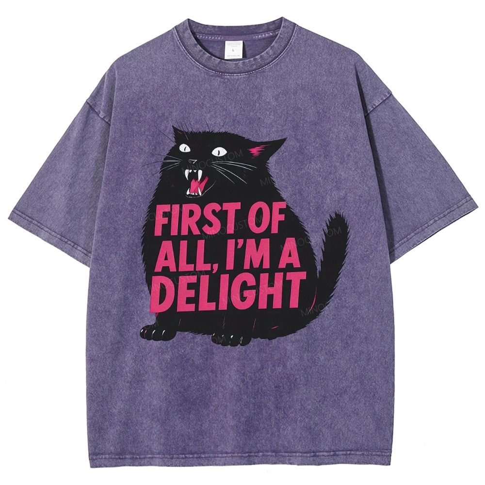 Washed T-Shirt 2608004690