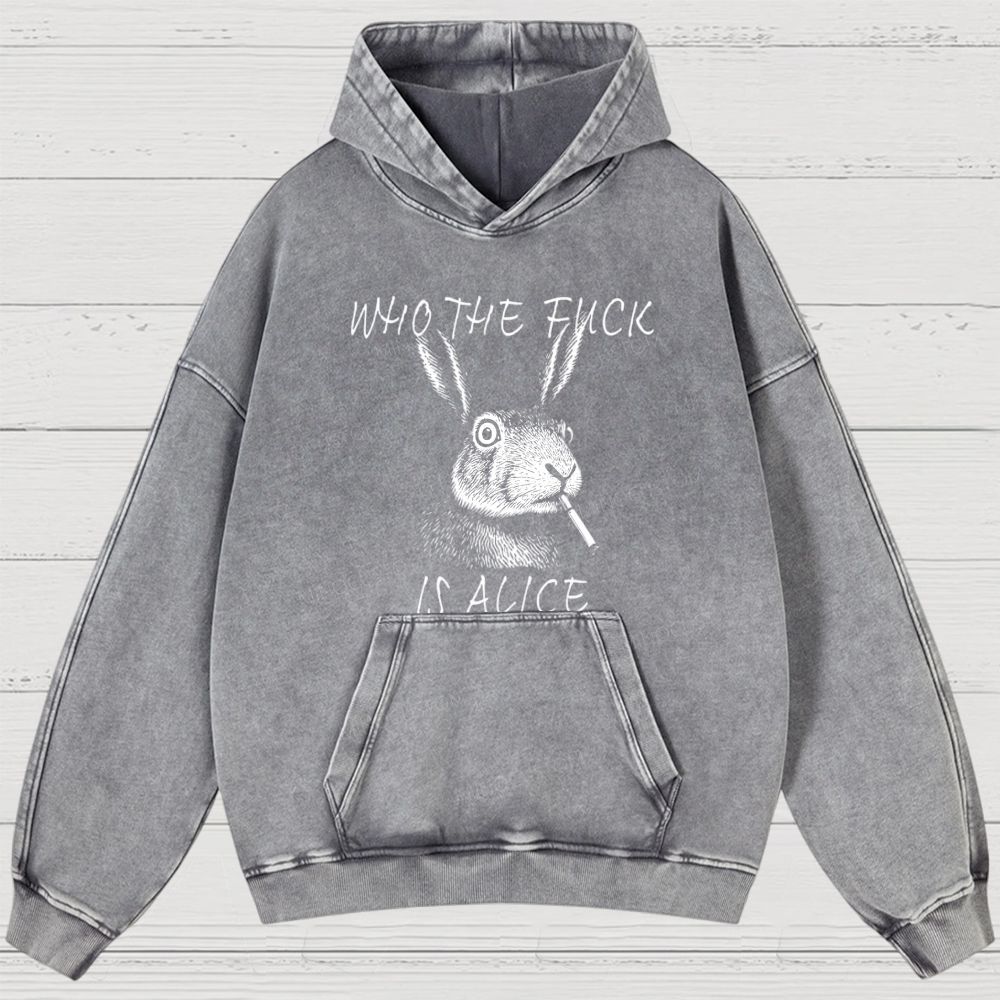 Washed Hoodies 2608004843