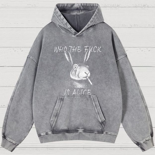 Washed Hoodies 2608004843