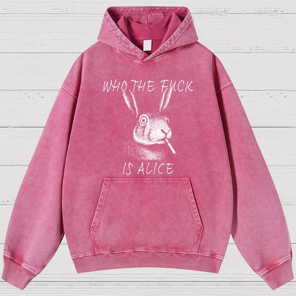 Washed Hoodies 2608004843