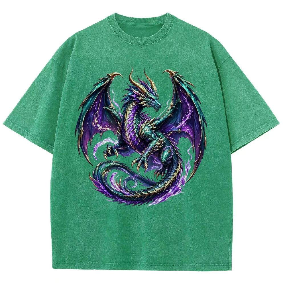 Washed T-Shirt 2608006478