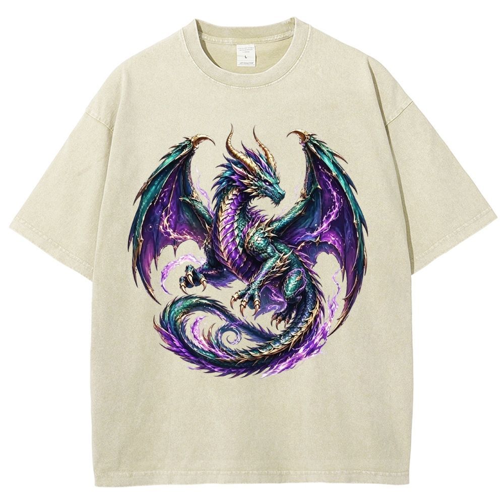 Washed T-Shirt 2608006478