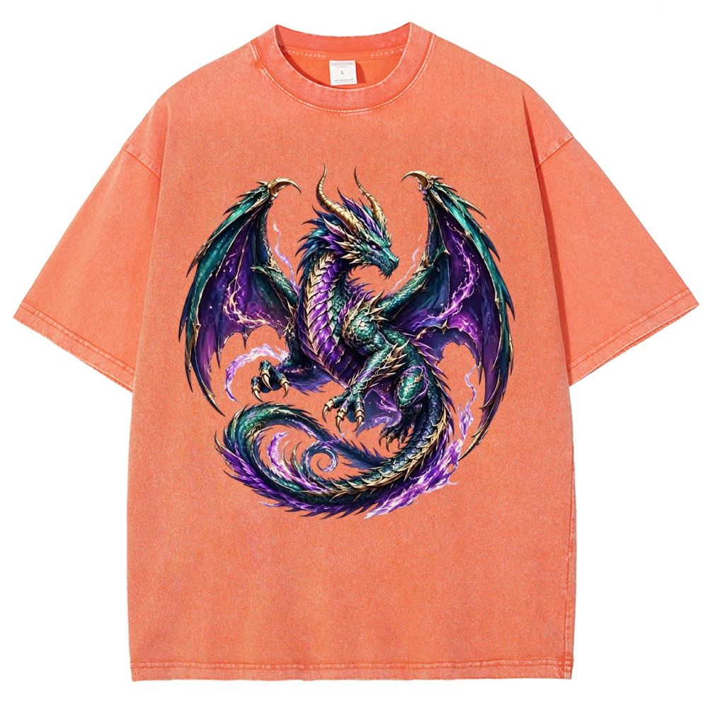 Washed T-Shirt 2608006478