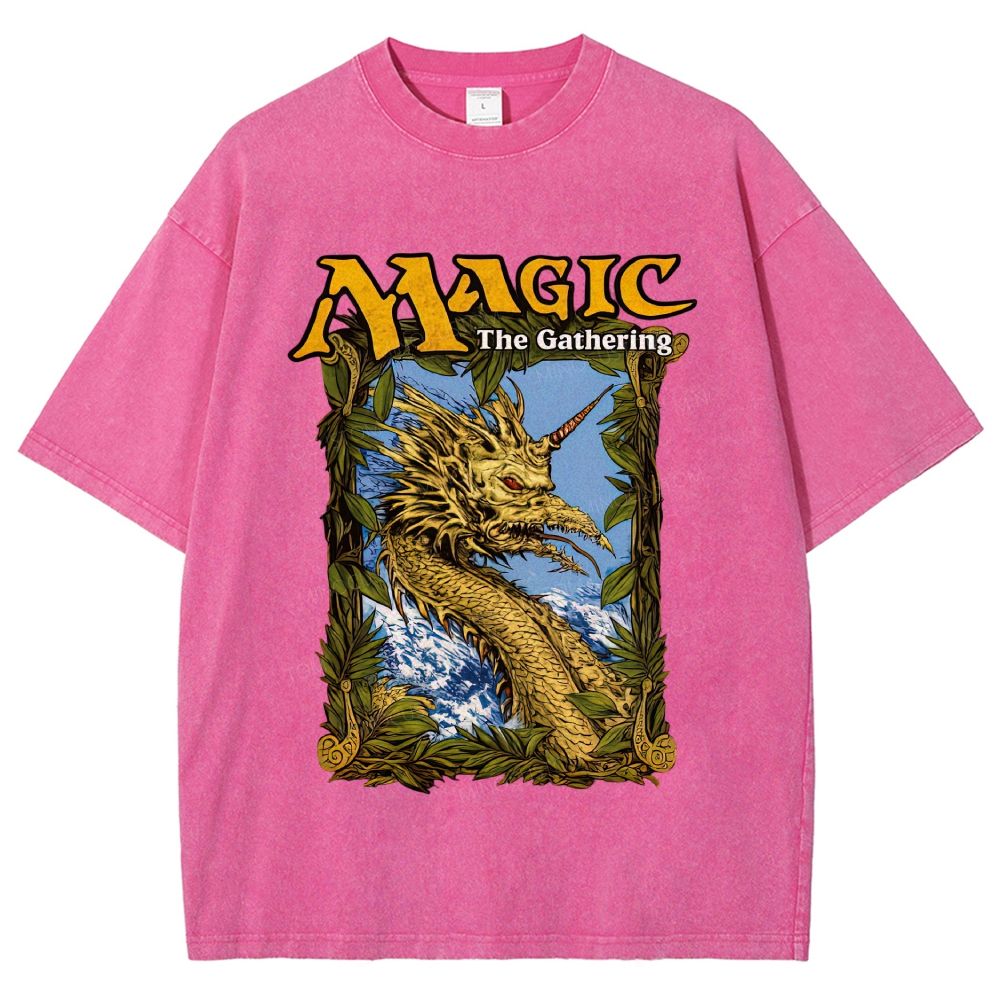 Medieval King Arthur Holy Grail Tour Parody Washed T-Shirt