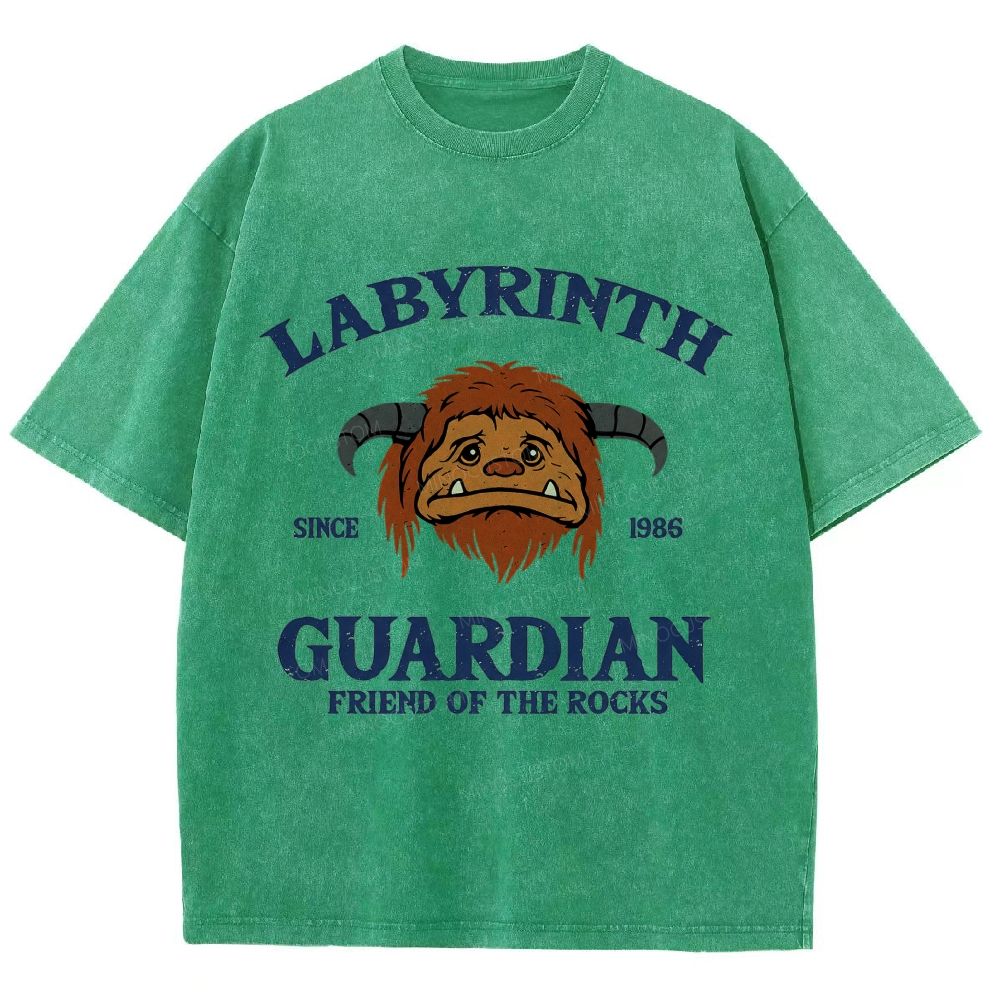 Washed T-Shirt 2608008352
