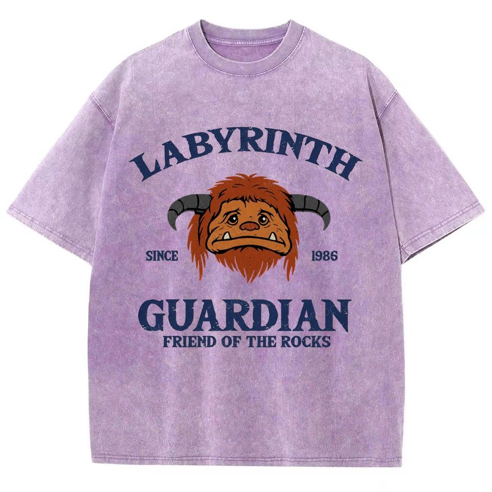 Washed T-Shirt 2608008352