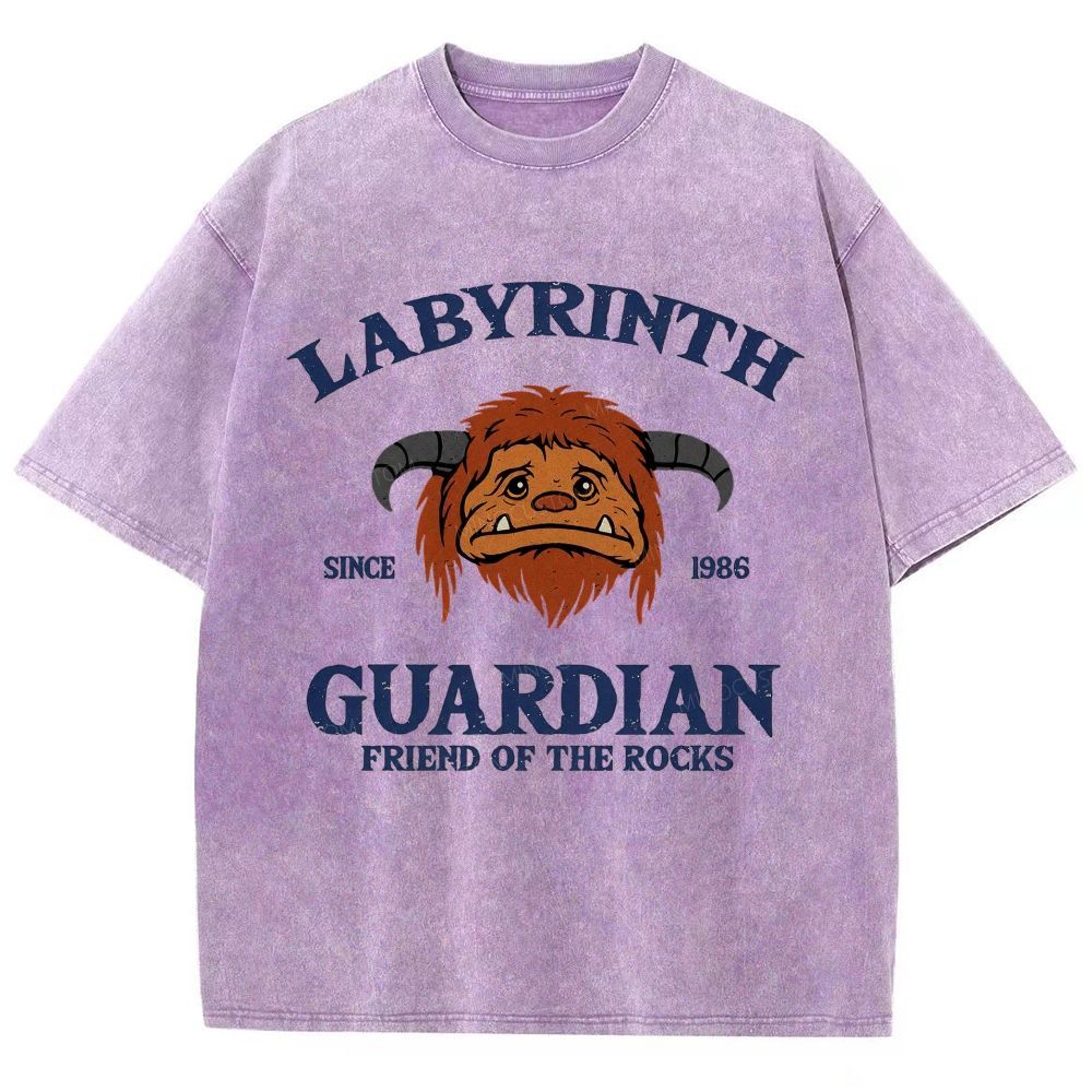 Washed T-Shirt 2608008352