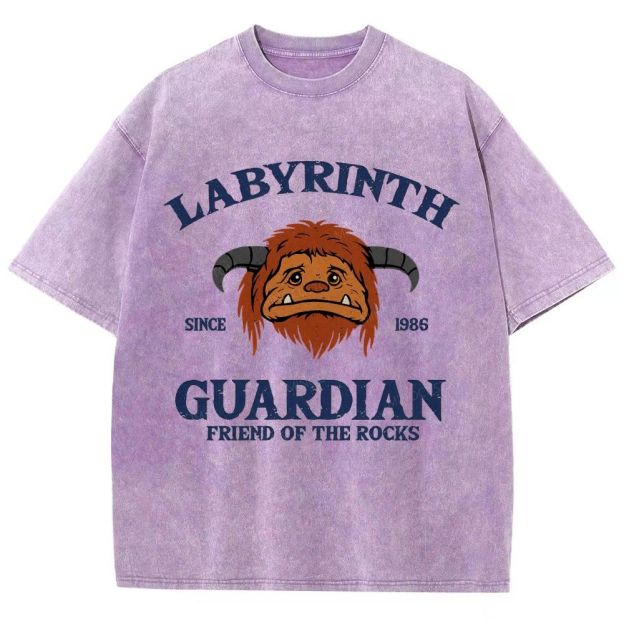 Washed T-Shirt 2608008352