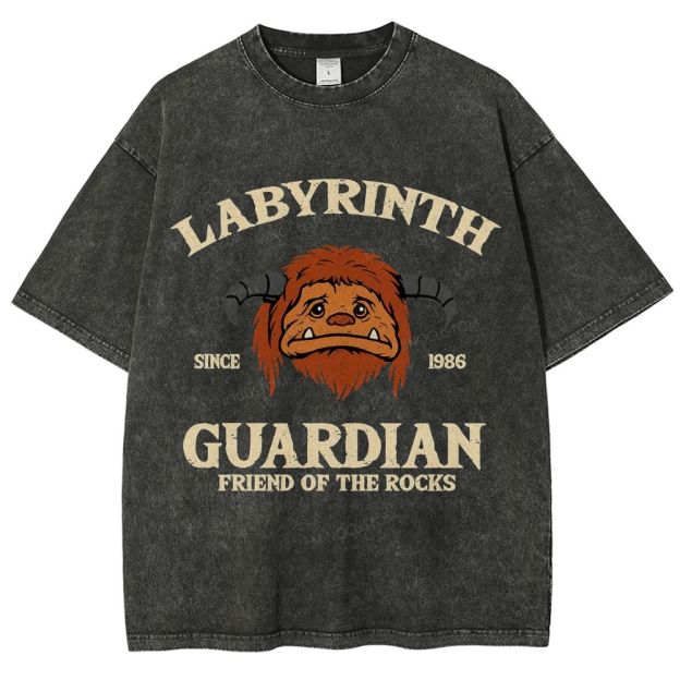 Washed T-Shirt 2608008352