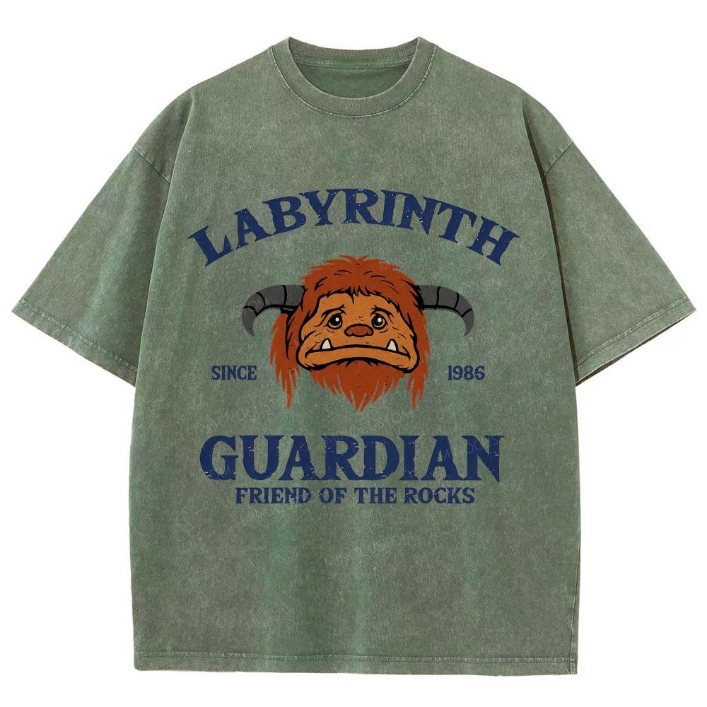 Washed T-Shirt 2608008352