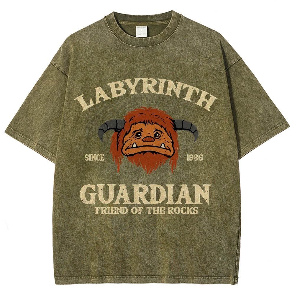 Washed T-Shirt 2608008352