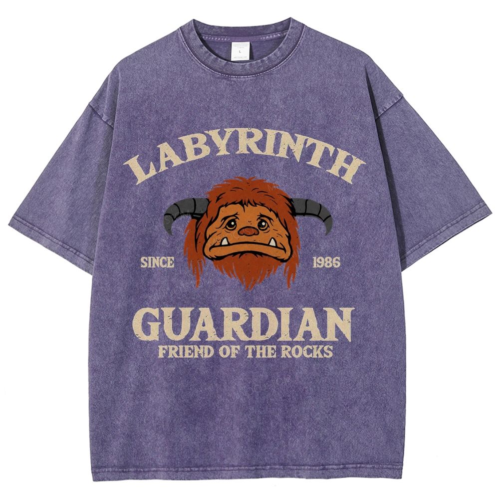 Washed T-Shirt 2608008352