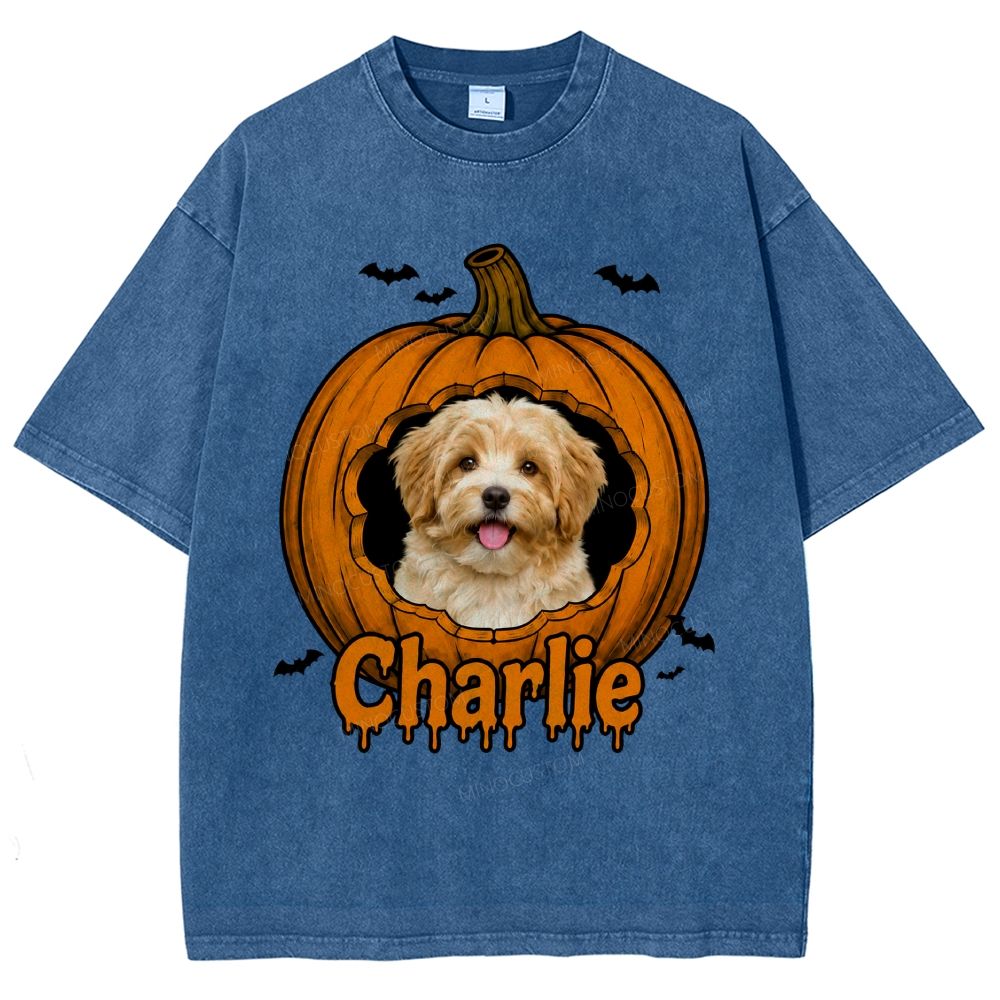 Personalized Pet Halloween Washed T-Shirt 